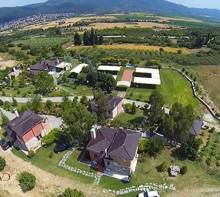 Ktima Papadopoulou Aparthotel Krioneri  Εξωτερικό φωτογραφία